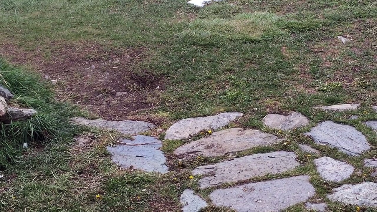 fontgillarde lundi 8 Mai