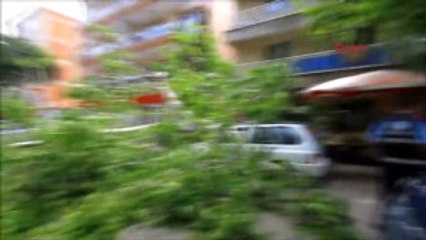 Balıkesir Ayvalık Sert Rüzgar Nedeniyle Ağaç Otomobilin Üstüne Devrildi
