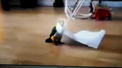 En komik kuş bu kuş