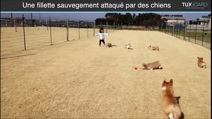 Cette fillette va etre attaquée par des chien... Enfin... Presque