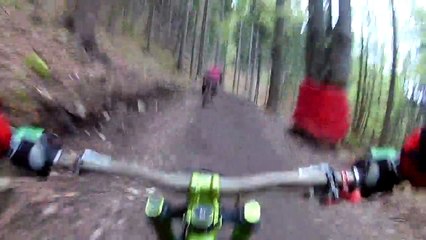 Ces rider à VTT tombent sur un ours en pleine piste et se font poursuivre