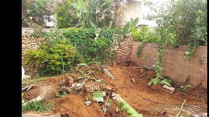 Cette piscine est très bien cachée dans ce jardin