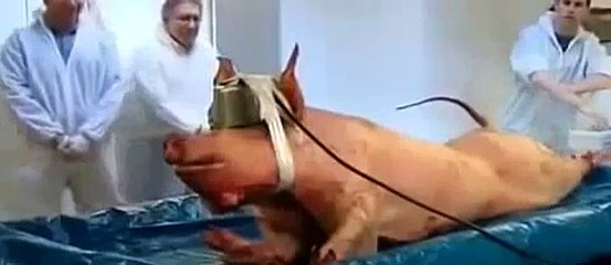 How to Kill a Human Being ~BBC Horizon