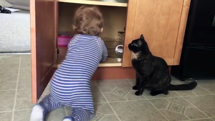 Un chat enferme un enfant dans un placard en claquant la porte