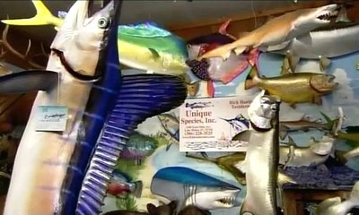 How It's Made Fish Replicas