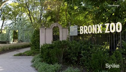 Time~The Kalief Browder Story Pt1~The System