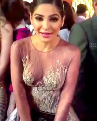 Criticize on Ayesha Omar's Dress In Lux Style Awards 2017