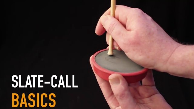 Turkey Hunting: Slate-Call Basics