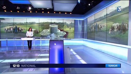 Auvergne : les raisons du succès grandissant de la fourme d'Ambert