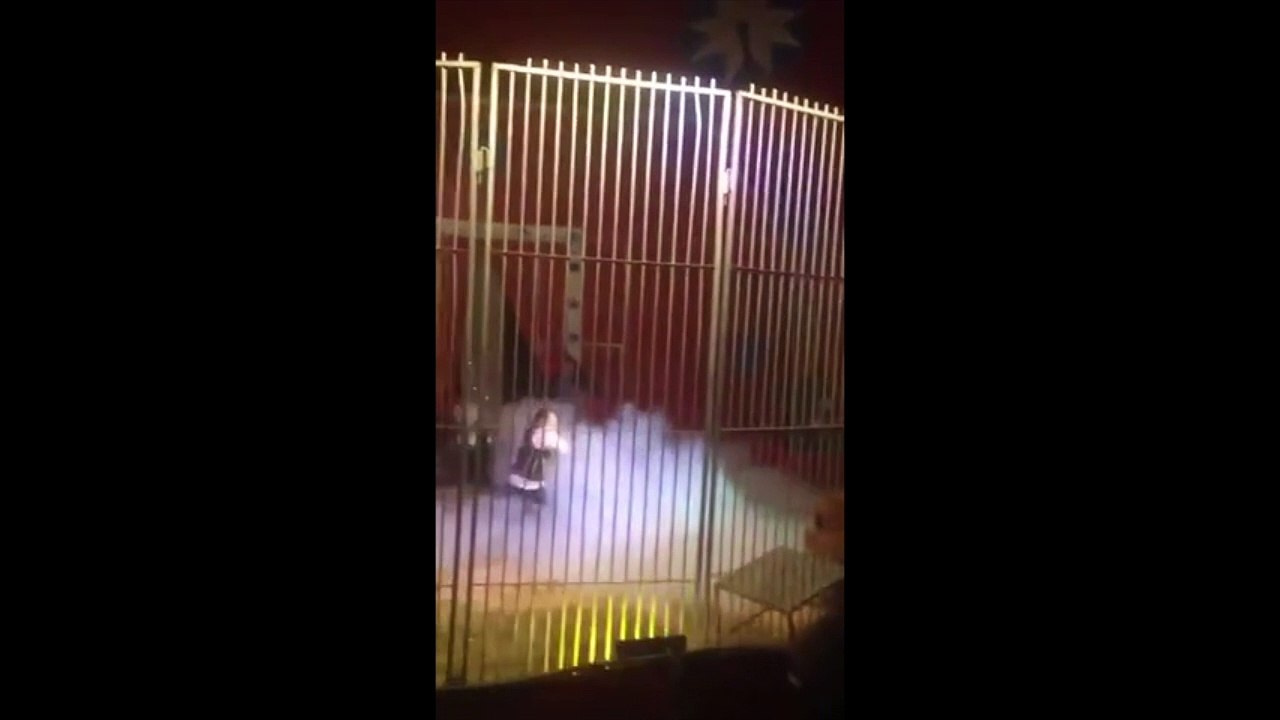 Lion Attacks Trainer During Performance at French Circus
