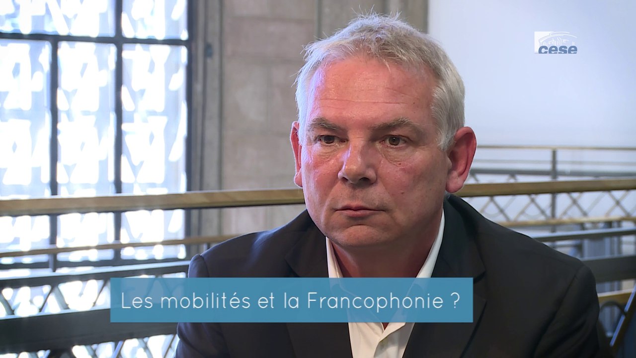 Questions à Thierry LEPAON, Délégué interministériel à la langue française - Francophonie - cese