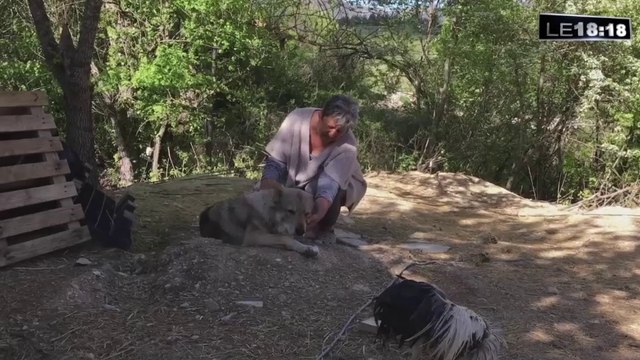Le 18:18 - Loup dans le Vaucluse : nos reporters ont retrouvé l'animal près du mont Ventoux