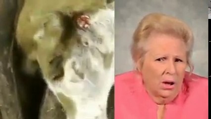 How thy treat with animals for their benifite                                    Noor,noor hot videos,noor scandal exposed,Express News,Pakistan News,Express News Live,Khabardar,Aftab Iqbal,Khabardar latest Kal Tak,Takrar,Panama Case,Dawn Leaks,Maryam Naw
