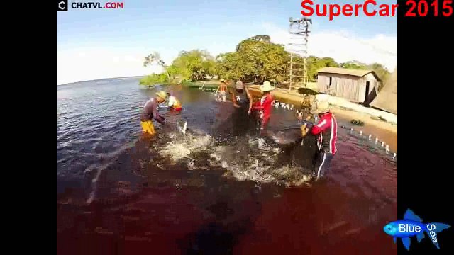 UN DÍA LA PESCA DE ARRASTRE COSTERO Y RESULTADOS INESPERADOS