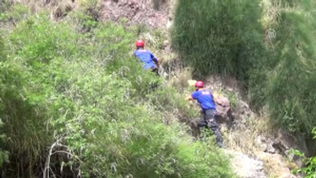 Assos'ta Martı Kurtarma Operasyonu