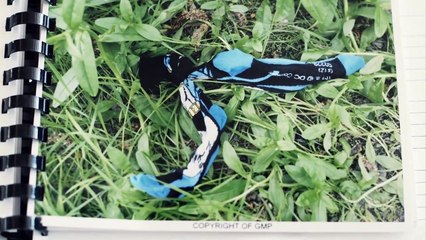 The Detectives 1of3 Manhunt part 1/2