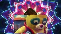 Special Agent Oso E49 Dye Another Egg Dr Skip
