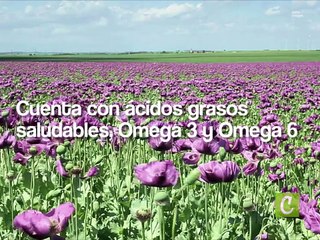 Beneficios de la semilla de amapola