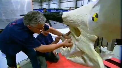 The Truth About Killer Dinosaurs (Part 1) Documentary