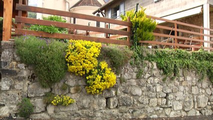 C'est pas mal chez vous - MIRIBEL-LANCHATRE