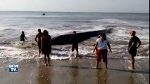 Au Mexique, une baleine de 10 tonnes échouée sur une plage est secourue par des pêcheurs