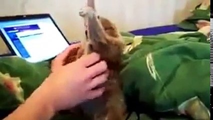 eu me remexo muito hehehe