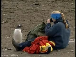 Antarctique, la ruée polaire