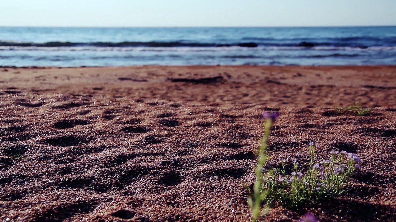 Кущий Ю В авторская композиция - Время гирлянд))++