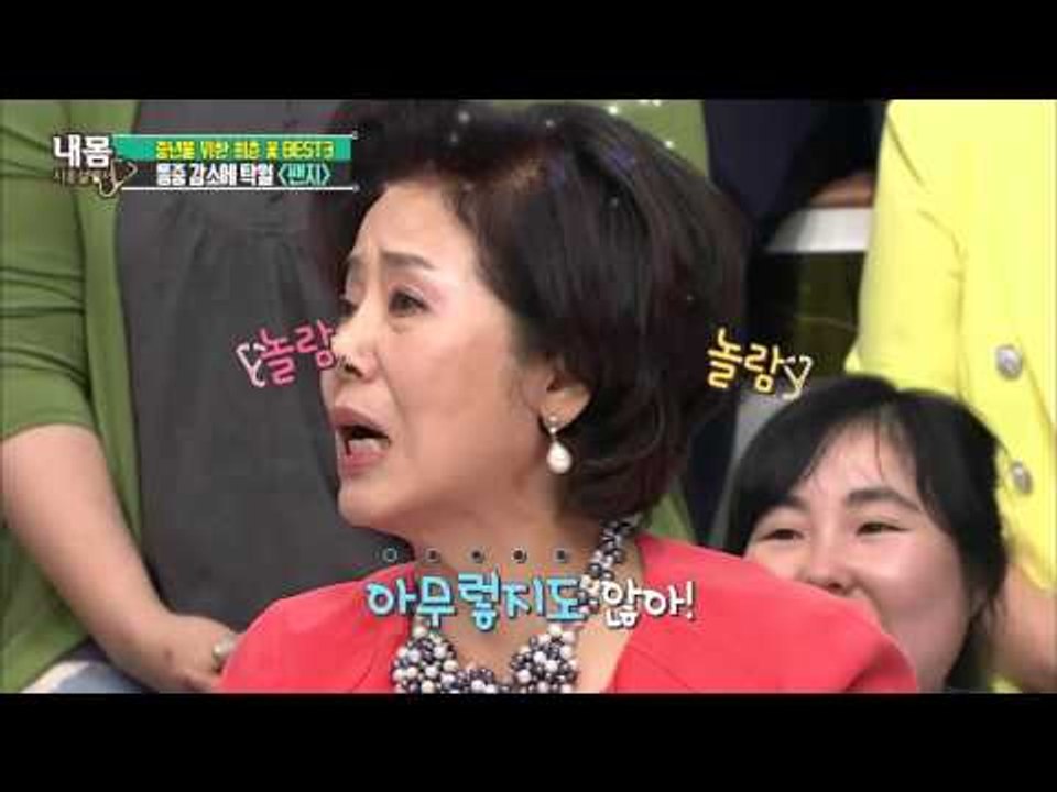 천연 진통제! 통증 감소에 탁월한 꽃은? [내 몸 사용 설명서] 101회 20160506