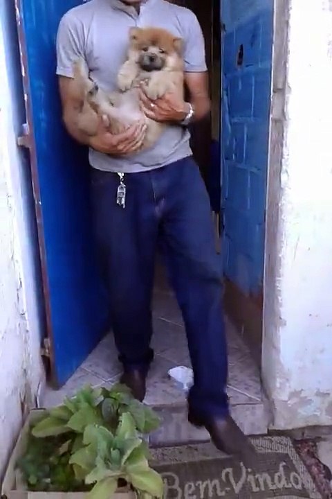Dog Dislikes Girl