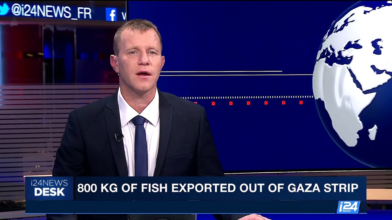 I24NEWS DESK | 800 kg fish exported out of Gaza Strip | Tuesday, May 9th 2017