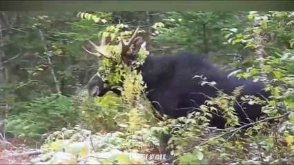 Epic Wins Fails Compilation of April 2017