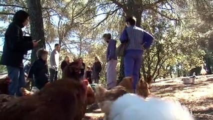 La ferme de Noé, à Trets,  F13 19/20 30/04/2017