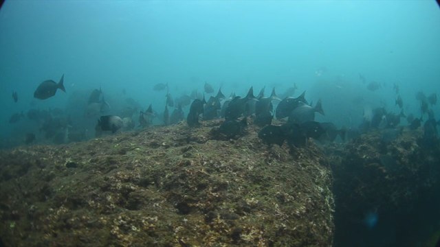 Pescadores crean zona especial para evitar la pesca con explosivos en Nicaragua
