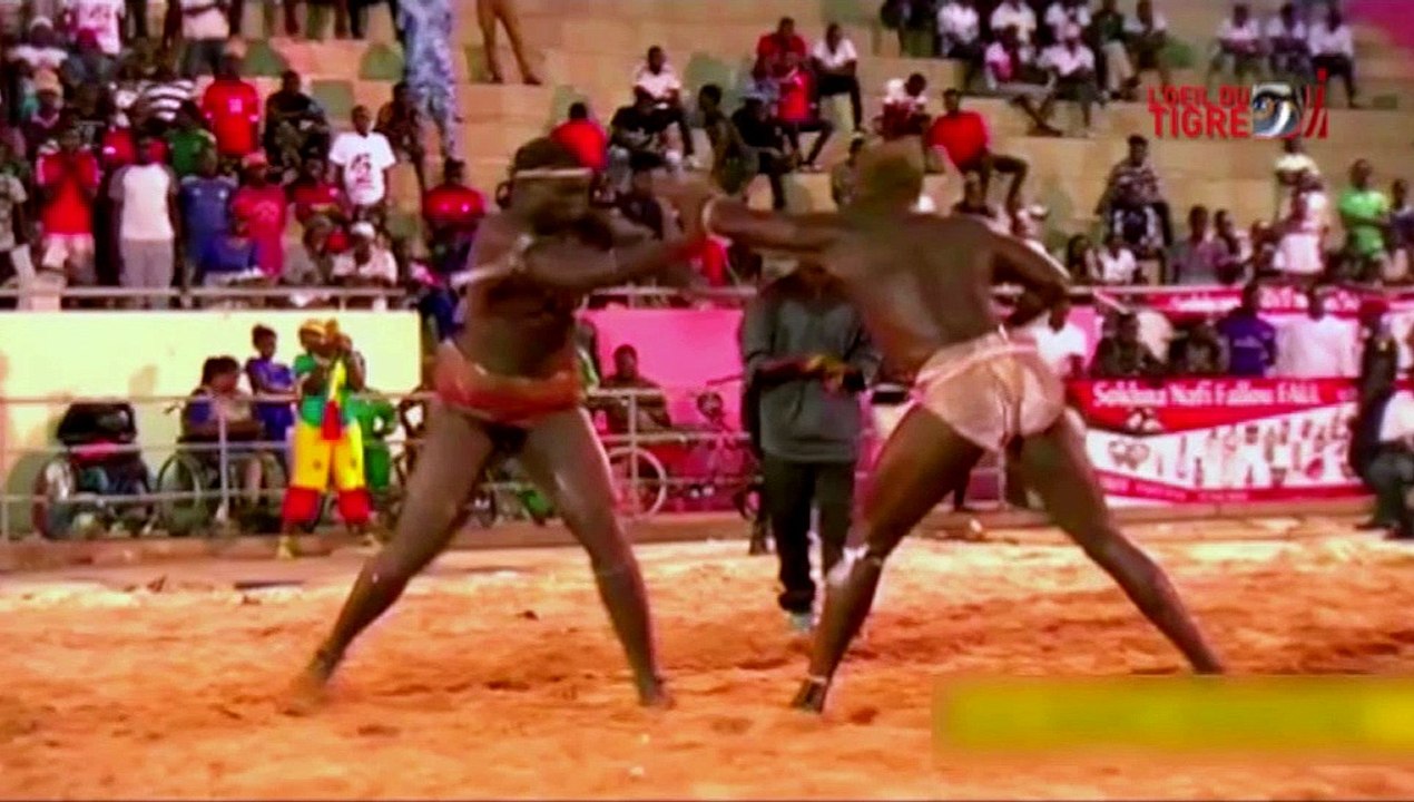 RUBRIQUE JELL BI du 09 Mai 2017 avec TIGRE DE SOMONE - ALIOUNE DIOP 2 dans L' Oeil Du Tigre