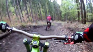 Bear on the Bikepark Malino Brdo SLOVAKIA