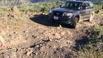 ✪ Subaru Gets Stuck Rock Crawling - Off-Roa