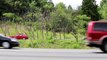 Car Lands Into Ditch After Driver Spots Spider Inside Vehicle