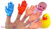 Learning Colors Video for Children Painted Hands Baby Doll Duck Finger Family Song Nursery Rhy