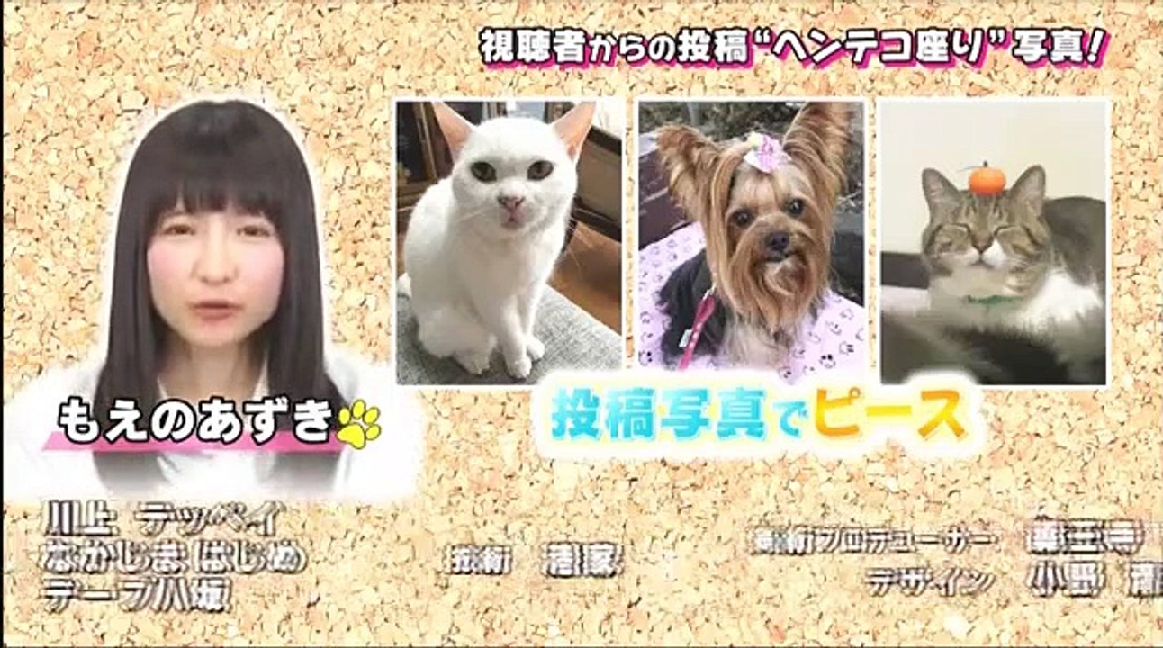 超かわいい映像連発！どうぶつピース!! 総勢166匹!春の激かわ赤ちゃん祭り 2017年3月31日 170331 ( 2 / 2 ) part 2/2