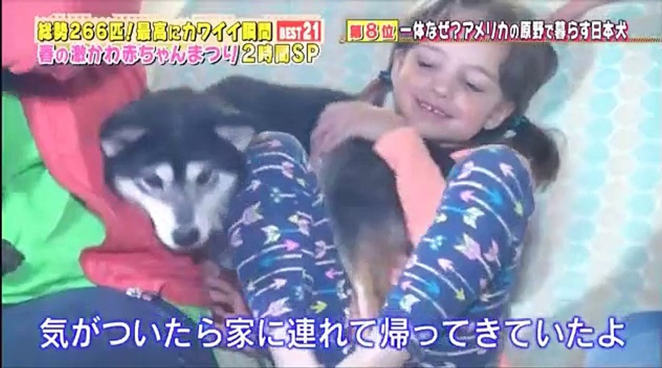 超かわいい映像連発！どうぶつピース!! 総勢166匹!春の激かわ赤ちゃん祭り 2017年3月31日 170331 ( 2 / 2 ) part 1/2