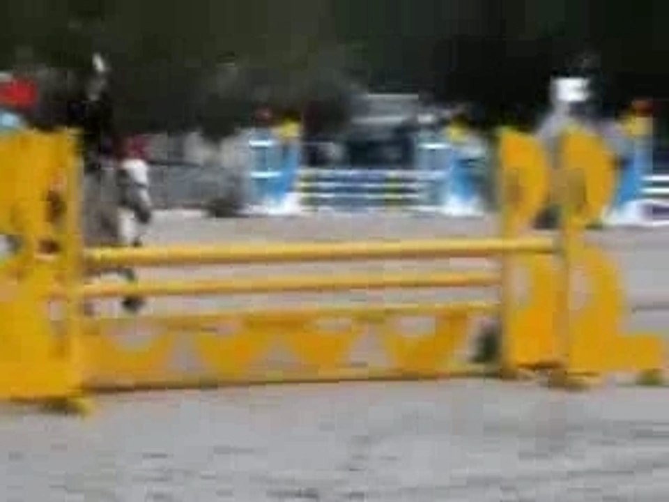 PATTE CC4ans MANTES 2e parcours