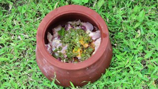 Pot Biryani - Simple and Easy Chicken Biryani - Matka biryani - Country Foods
