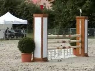 PEPPER MAntes CC 4ans