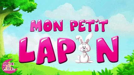 Mon petit lapin 'Cherchez moi coucou coucou'-yfJ1GDTCNZU