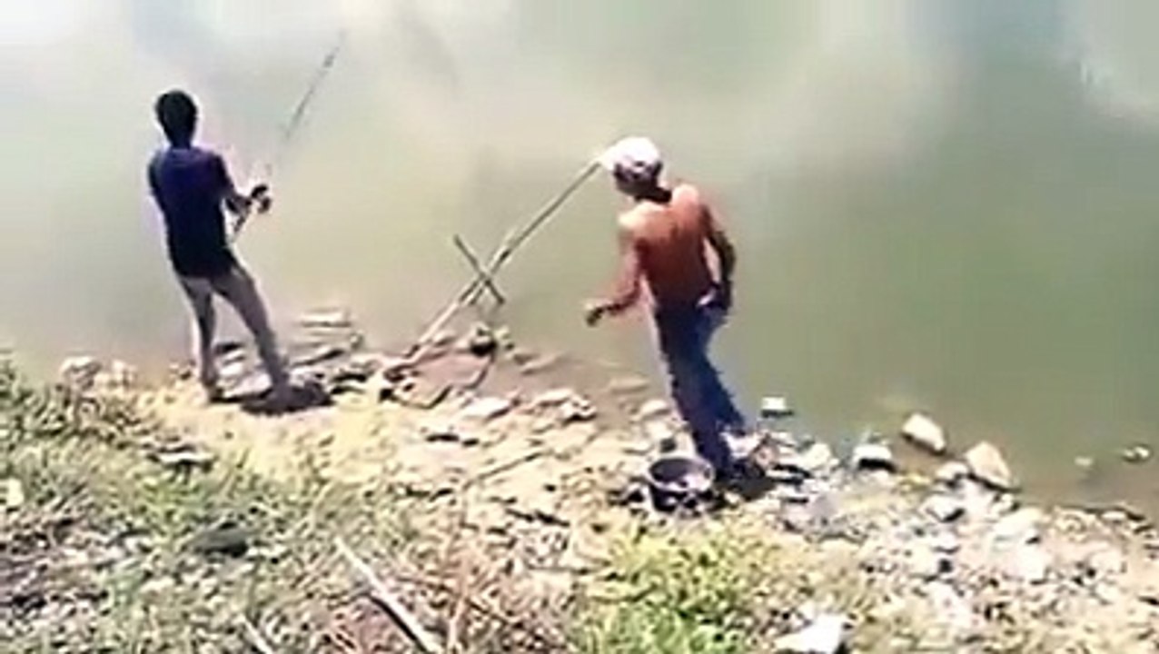 The biggest fish which i have seen