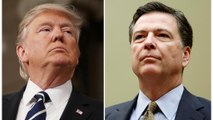 Donald Trump licenzia il Direttore dell'FBI James Comey