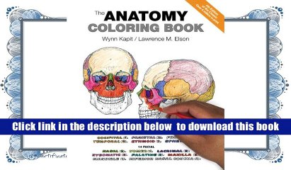 Download Rodiba Videos Dailymotion