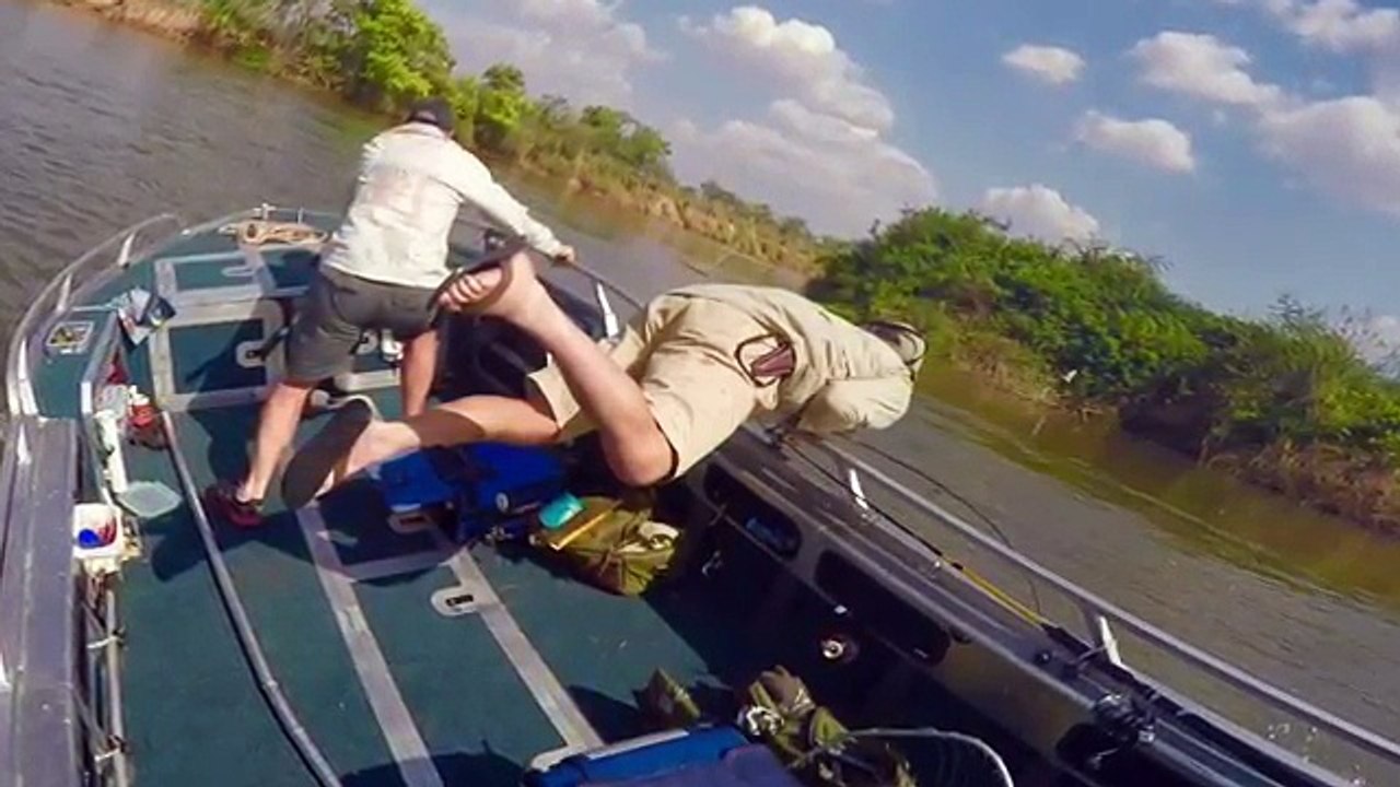 Hippo Attack Tanzania