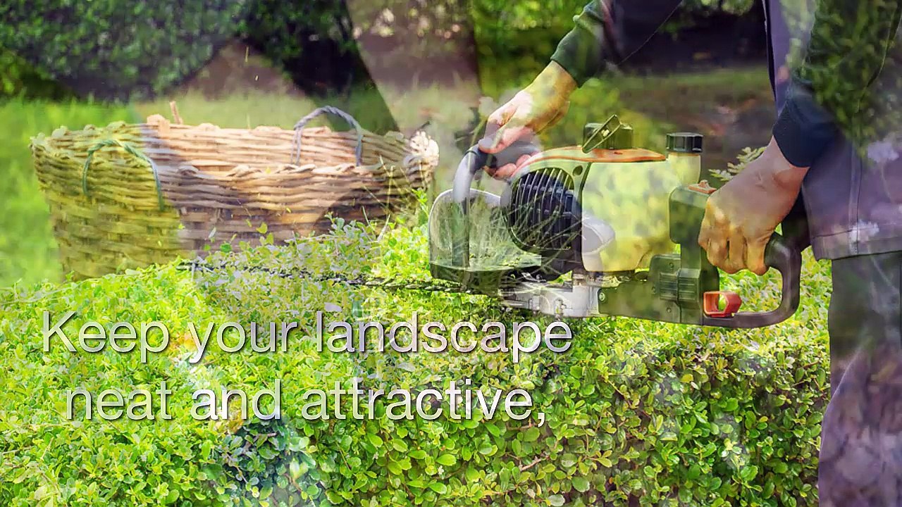 Vista Turf: Featuring The Best Lawn Care In Texas